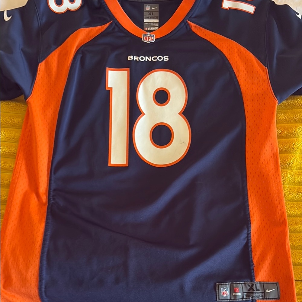 Nike NFL Denver Broncos youth football Jersey. Size youth XL 18/20